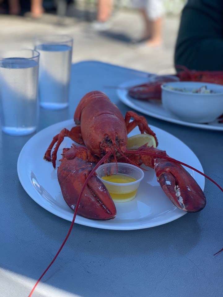 Top Eats of&nbsp;2019